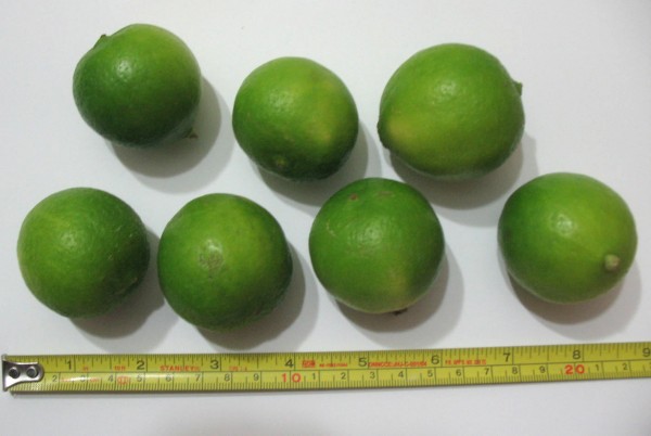 limon