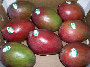 mango